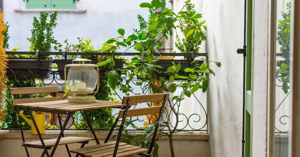 Pflanzen als Sichtschutz für Garten & Balkon - Plantura