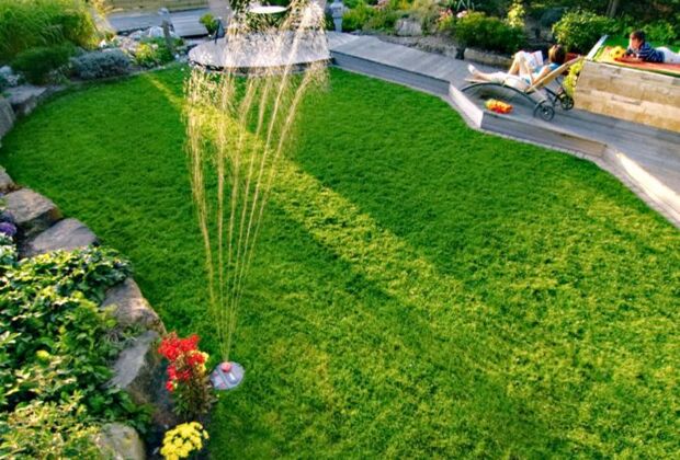 Im Juli So Bleibt Ihr Garten Schon Zuhausewohnen